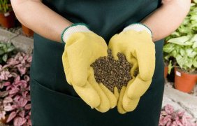 有机肥如何选择？