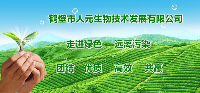 开云app官方在线入口